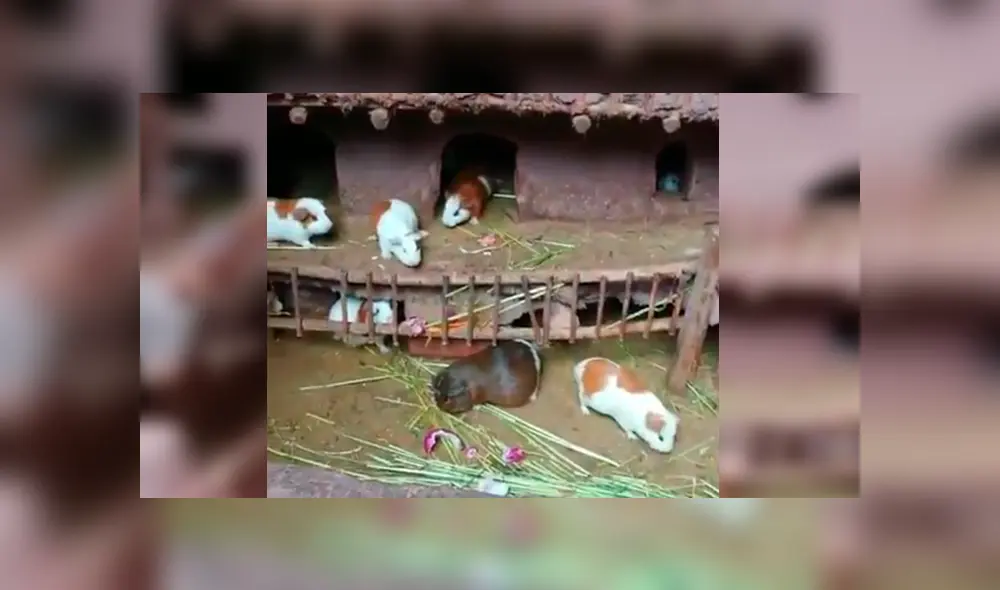 Desliza para ver los detalles del video viral de YouTube. Foto: Captura. Desliza para ver los detalles del video viral de YouTube. Foto: Captura.