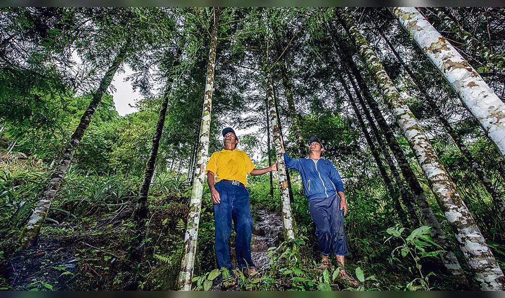 Destaca. Área busca la preservación de diferentes especies.