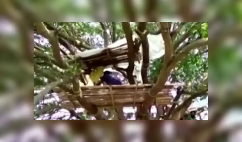 India: Hombres hacen cuarentena en los árboles por falta de espacio en sus casas India: Hombres hacen cuarentena en los árboles por falta de espacio en sus casas