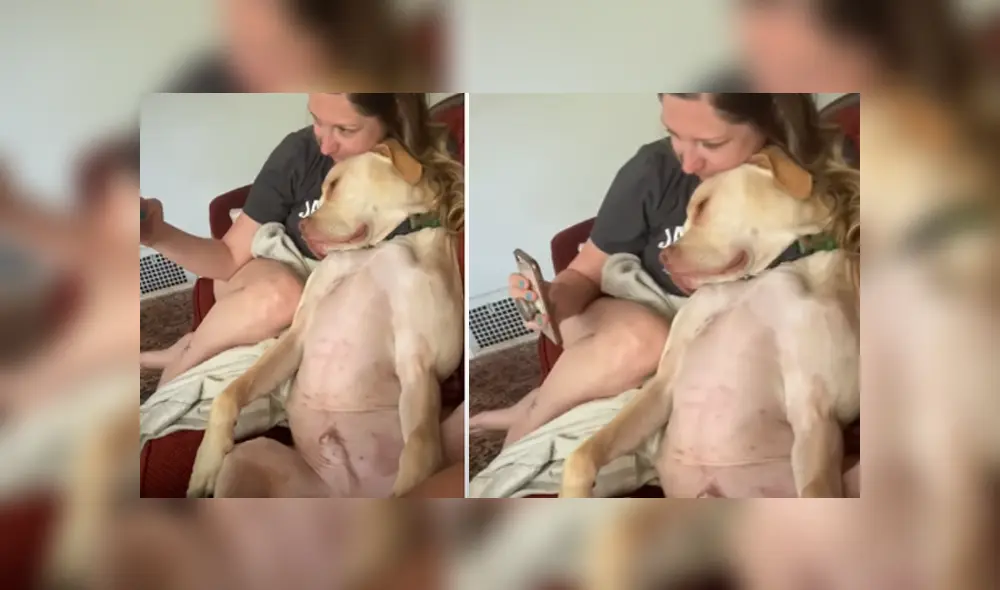 Desliza hacia la izquierda para ver las imágenes del viral de YouTube. Desliza hacia la izquierda para ver las imágenes del viral de YouTube.