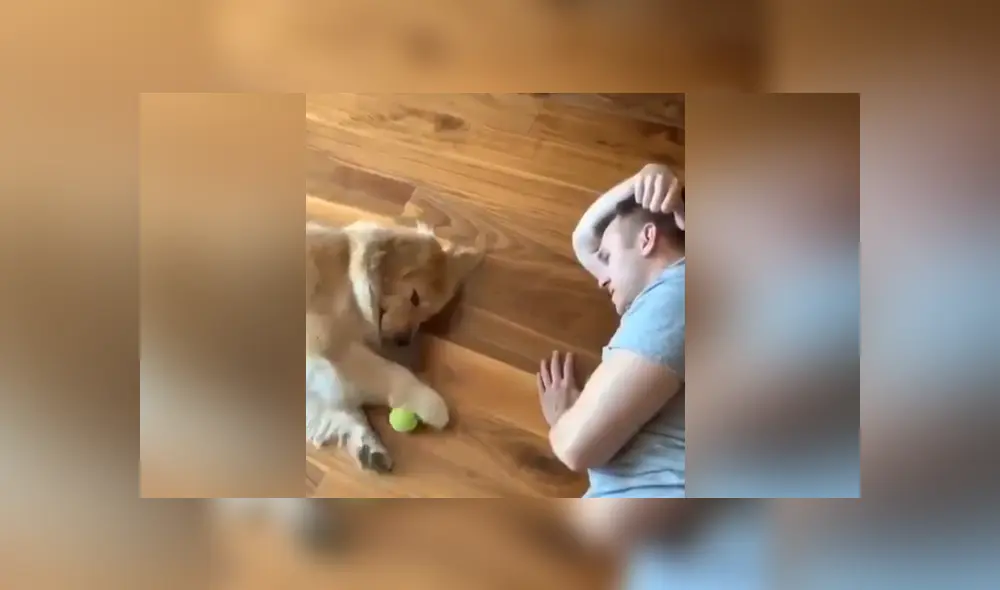 A través de Facebook se ha vuelto viral la curiosa reacción de un soñoliento perro al ver que su dueño quería jugar con él.