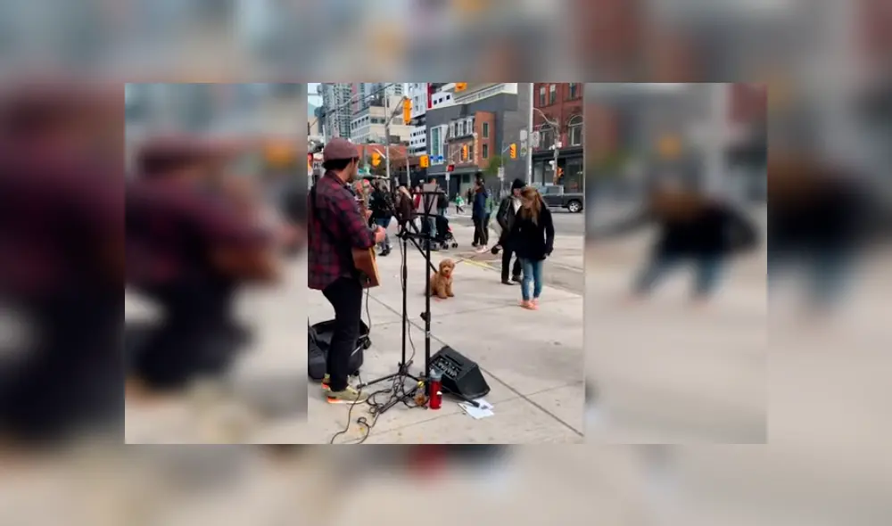 Vía YouTube. El cachorro detuvo el paseo con su dueña en plena avenida y su adorable conducta ante show de artista callejero conmovió a todos