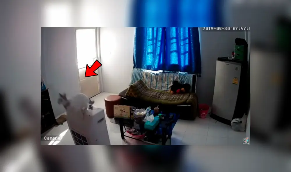 YouTube viral: coloca cámara de seguridad para saber quién destruyó sus cosas y queda en shock al descubrir la verdad YouTube viral: coloca cámara de seguridad para saber quién destruyó sus cosas y queda en shock al descubrir la verdad