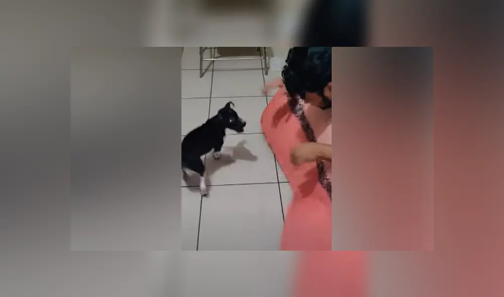 Desliza hacia la izquierda para ver las imágenes del viral de YouTube.