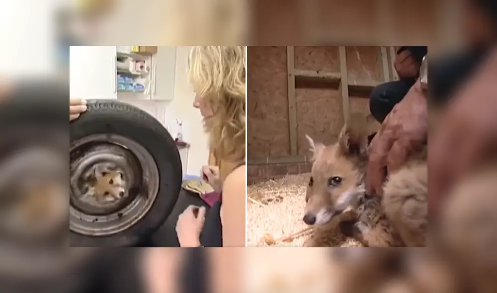 Desliza las imágenes para ver más detalles de esta conmovedora escena que es viral en Facebook. Desliza las imágenes para ver más detalles de esta conmovedora escena que es viral en Facebook.