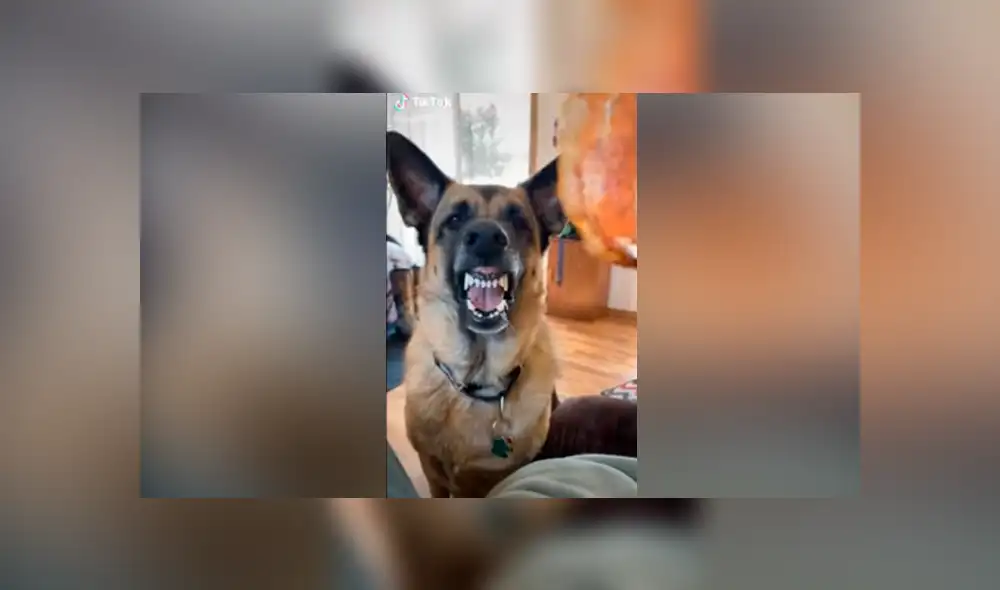 Desliza hacia la izquierda para ver las imágenes del viral de YouTube. Foto: Captura. Desliza hacia la izquierda para ver las imágenes del viral de YouTube. Foto: Captura.