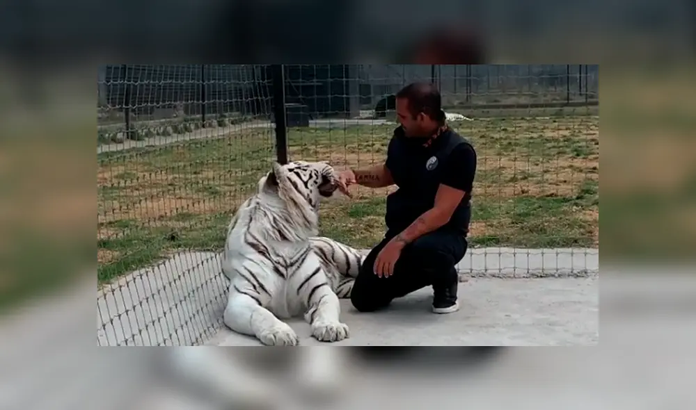 Desliza hacia la izquierda para ver las imágenes del viral de YouTube. Desliza hacia la izquierda para ver las imágenes del viral de YouTube.