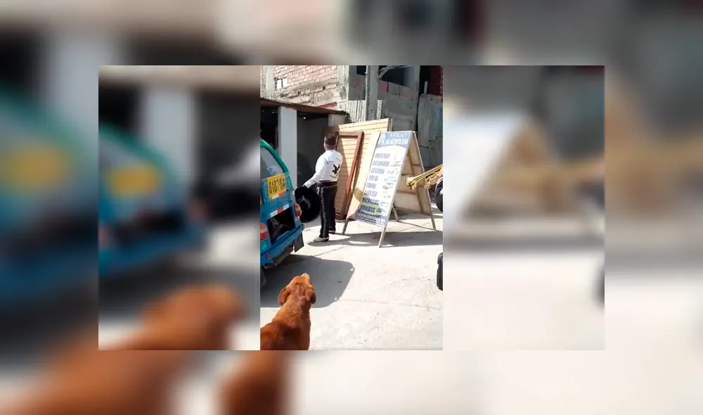 Desliza las imágenes hacia la izquierda para conocer la actuación de un perro al unirse a un grupo de mariachis.