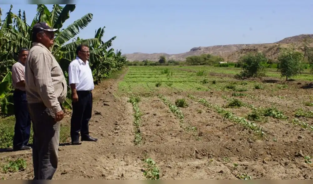 Municipalidad de Talara promueve desarrollo agrario en bosque Pariñas