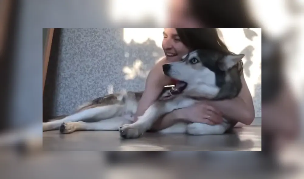 A través de Facebook se volvió viral la hilarante reacción de un perro al ser abrazado por su dueña. A través de Facebook se volvió viral la hilarante reacción de un perro al ser abrazado por su dueña.