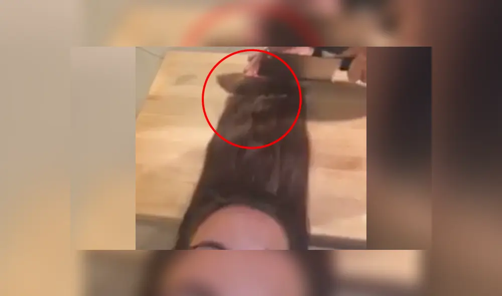 Desliza a la izquierda para conocer más sobre este nuevo viral de Facebook. Foto: Captura. Desliza a la izquierda para conocer más sobre este nuevo viral de Facebook. Foto: Captura.