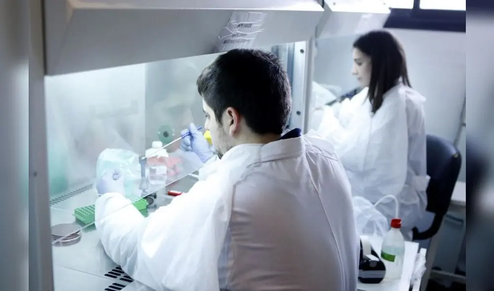 Becas ofrecen oportunidades de estudio en Estados Unidos. Foto: Fondecyt