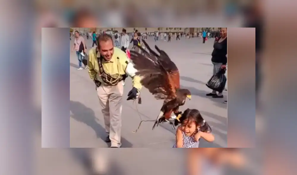 YouTube viral: enorme águila agarra a niña de los pelos y su madre se burla [VIDEO]
