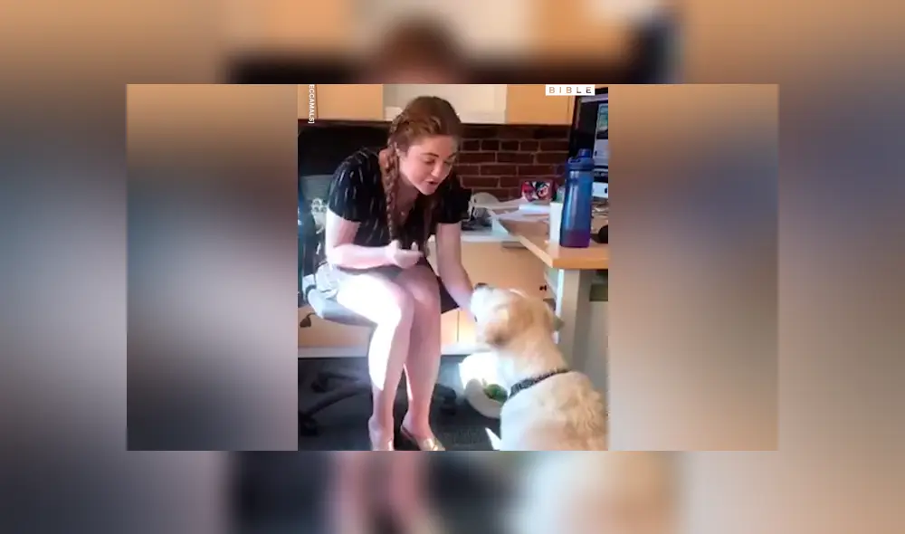 Facebook viral: chica sorda usa lenguaje de señas para entrenar a su perro y final sorprende [VIDEO] 