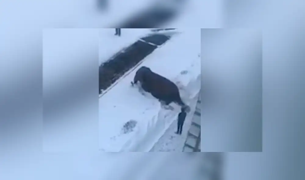 Desliza para ver los momentos más sorprendentes del video que se hizo viral en YouTube. Desliza para ver los momentos más sorprendentes del video que se hizo viral en YouTube.