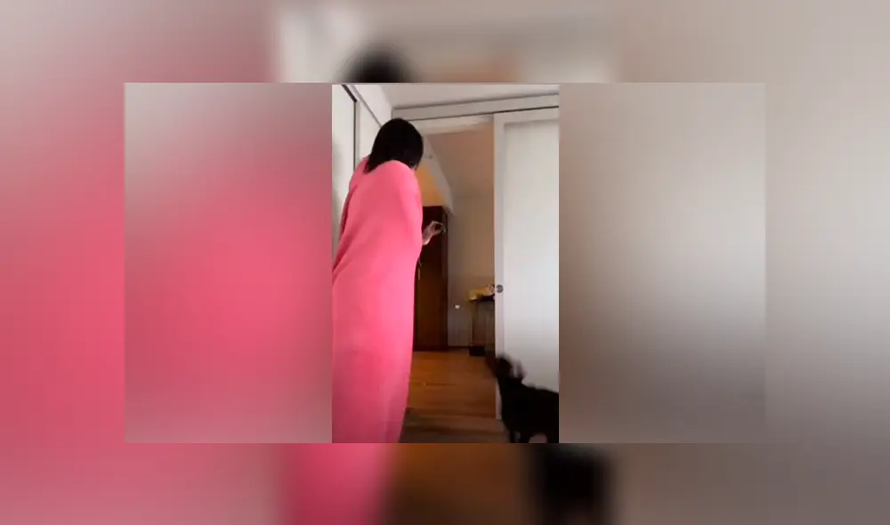 Desliza las imágenes para ver la peculiar escena que protagonizó un perro al no poder encontrar a su dueña. Foto: RM videos Desliza las imágenes para ver la peculiar escena que protagonizó un perro al no poder encontrar a su dueña. Foto: RM videos