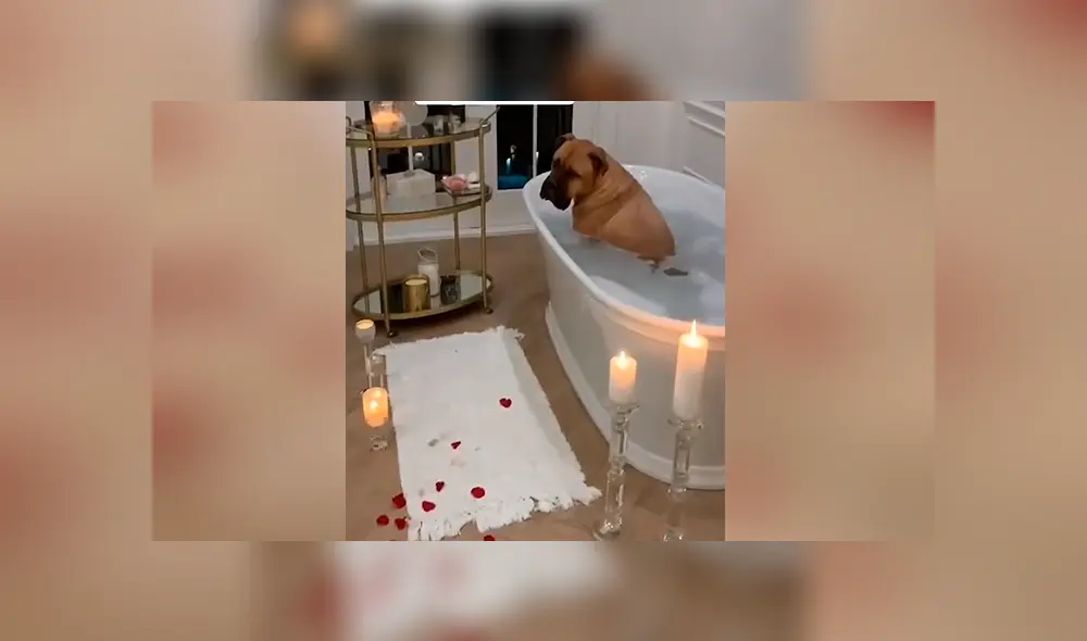 Desliza para ver los momentos más divertidos del video que se hizo viral en Facebook.