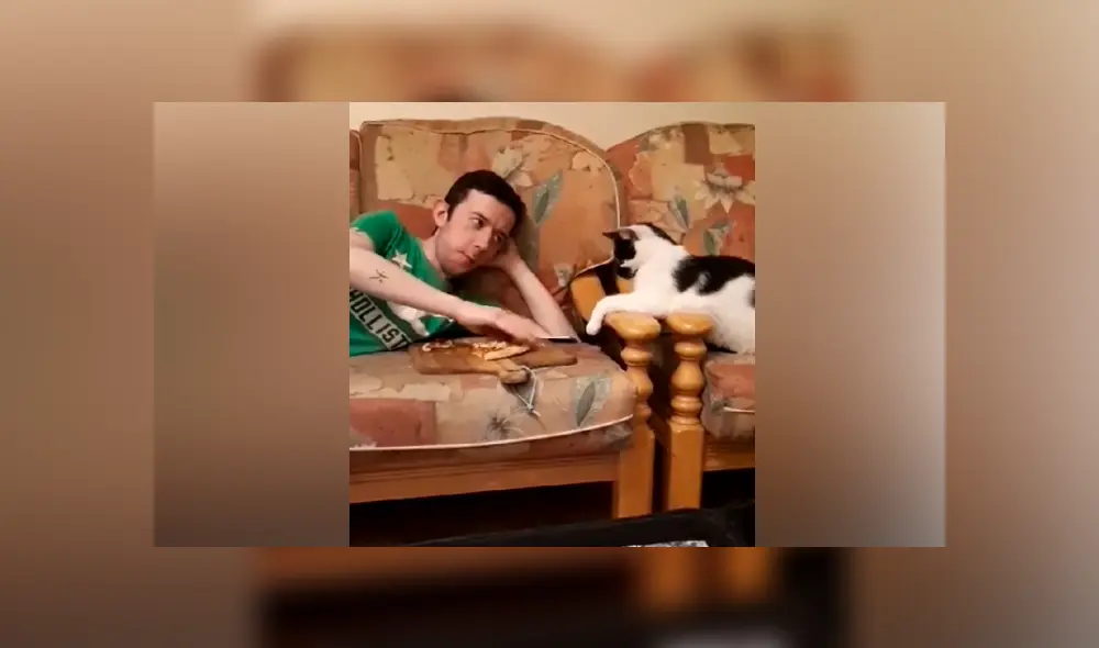 Desliza las imágenes para ver la curiosa escena que protagonizó este gatito al querer ‘robar’ un poco de comida a su dueño. Fotocapturas: ViralHog/YT Desliza las imágenes para ver la curiosa escena que protagonizó este gatito al querer ‘robar’ un poco de comida a su dueño. Fotocapturas: ViralHog/YT