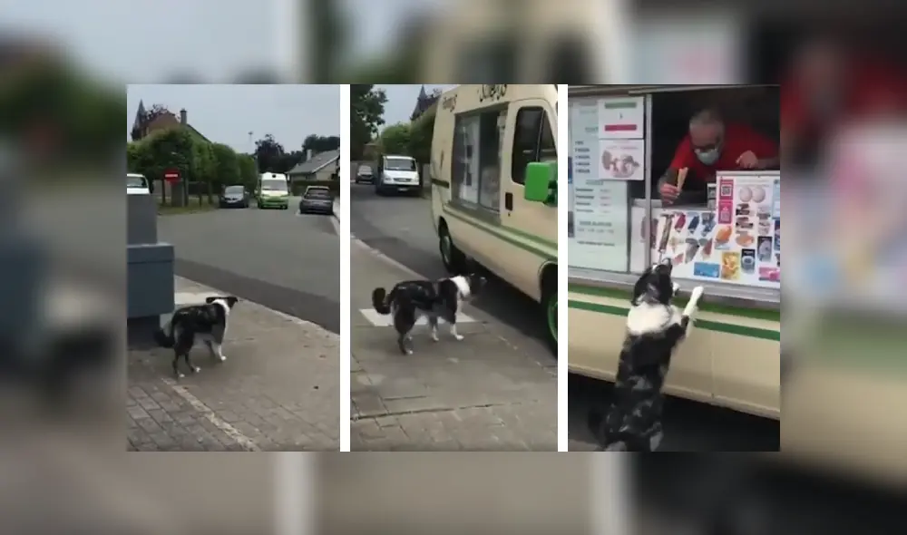 Desliza las imágenes para conocer la tierna reacción de un perro cuando vio al camión de helados. Fotos: Captura.