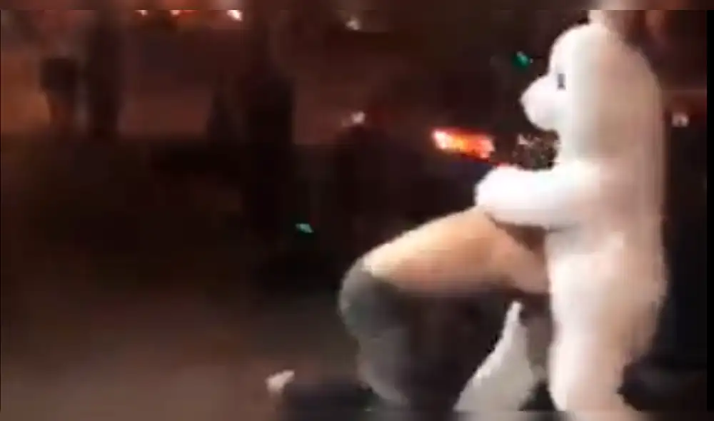 YouTube: 'Conejo de Pascua' salva el día a mujer que era agredida por su novio [VIDEO]