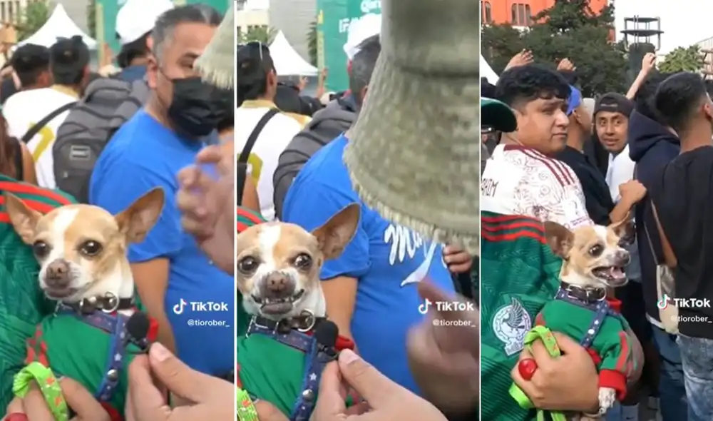 El video ha sumado más de 300.000 reproducciones en TikTok. Foto: composición LR/captura de TikTok/@tiorober_ El video ha sumado más de 300.000 reproducciones en TikTok. Foto: composición LR/captura de TikTok/@tiorober_