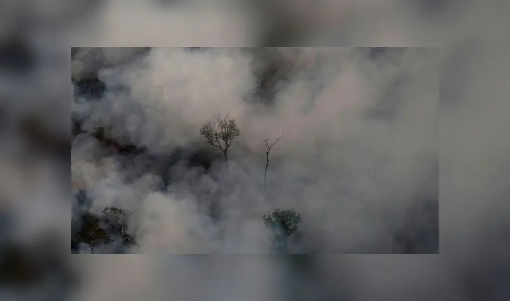 Pray for Amazonas: usuarios de todo el mundo lamentan el incendio en la amazonía de Brasil