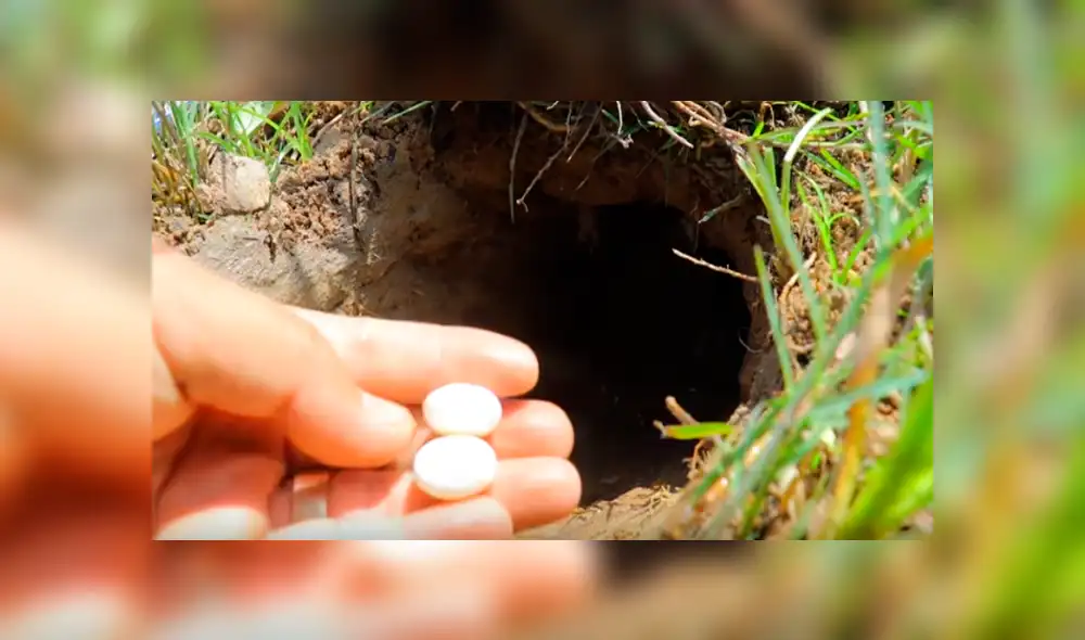 Desliza hacia la izquierda para ver las imágenes de YouTube sobre el hallazgo que hizo un joven tras colocar Coca Cola y mentos en el interior de un hoyo.