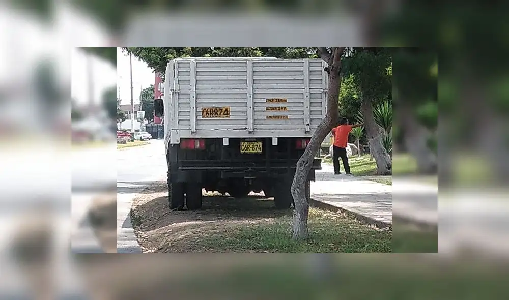 Callao: conductor de camión utiliza área verde para estacionar Callao: conductor de camión utiliza área verde para estacionar