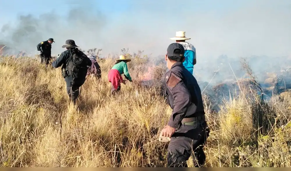 Serfor hizo un llamado a las autoridades locales y comunidades campesinas. Serfor hizo un llamado a las autoridades locales y comunidades campesinas.