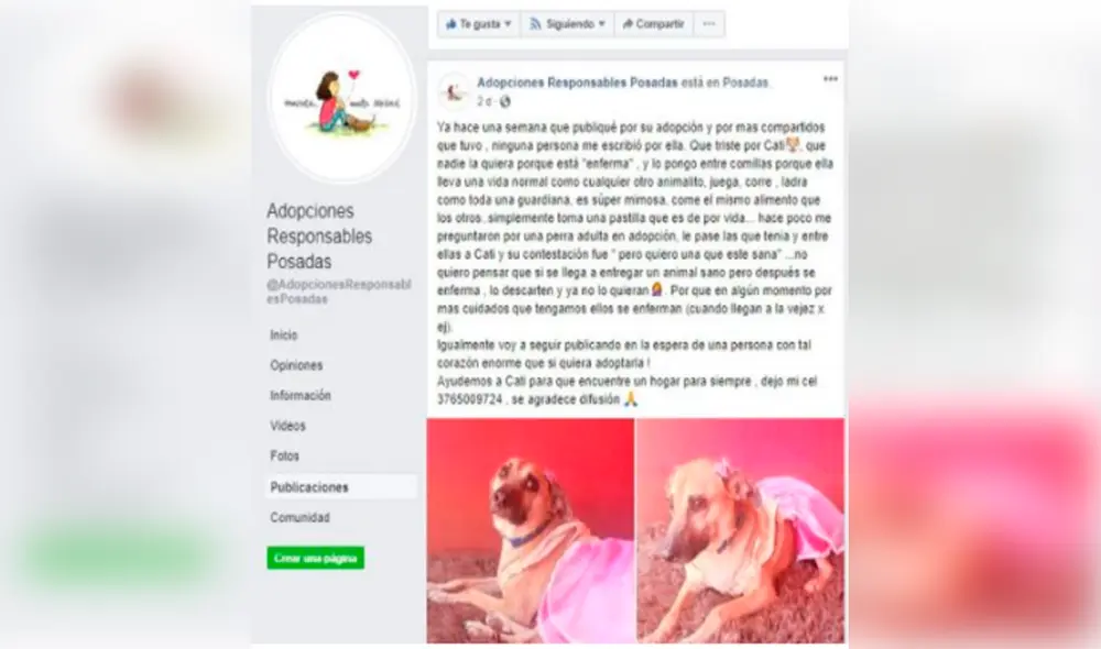 Facebook - animales