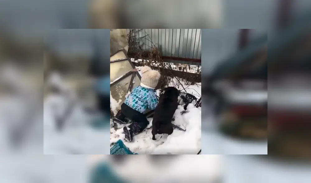 Desliza las imágenes hacia la izquierda para apreciar la tierna escena protagonizada por un pequeño junto a su perro.