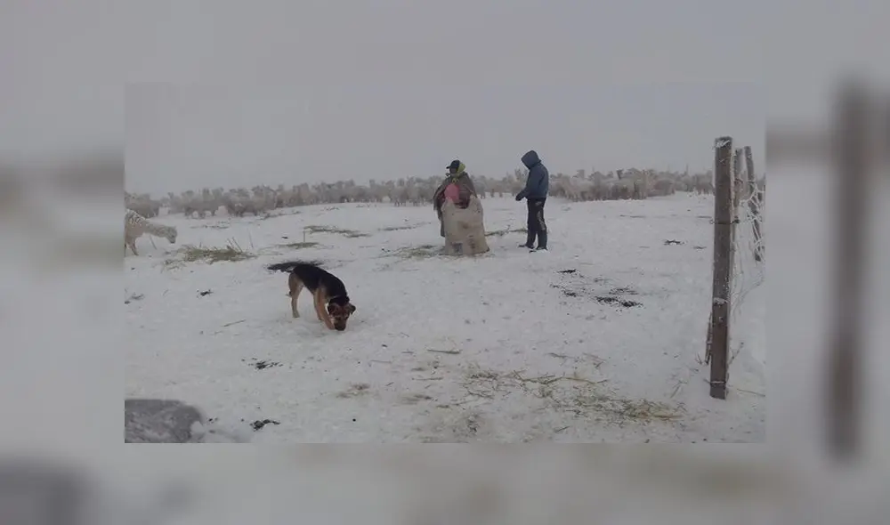 El pronóstico para Imata es de 16 grados centígrados bajo cero para este martes 29. Foto: Senamhi