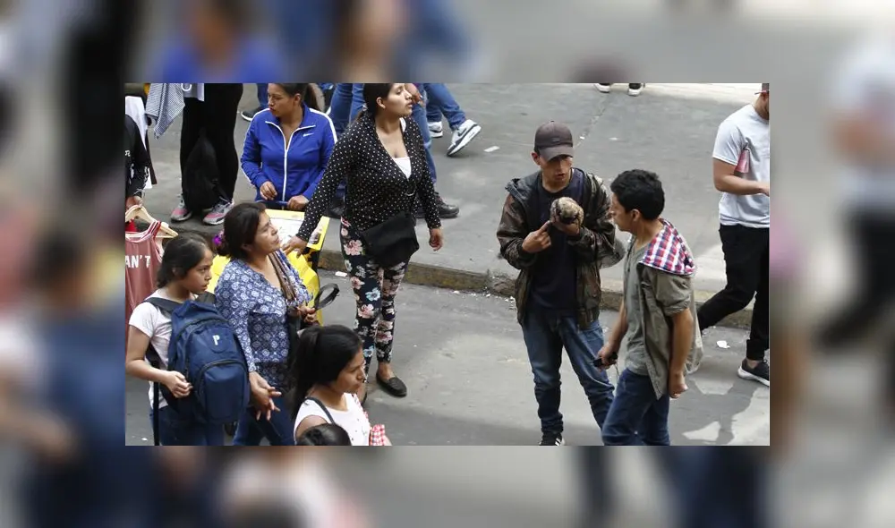 A pesar de la normativa que prohíbe la venta de animales en el Centro de Lima, las mafias desarrollan estrategias para continuar lucrando. Foto: La República