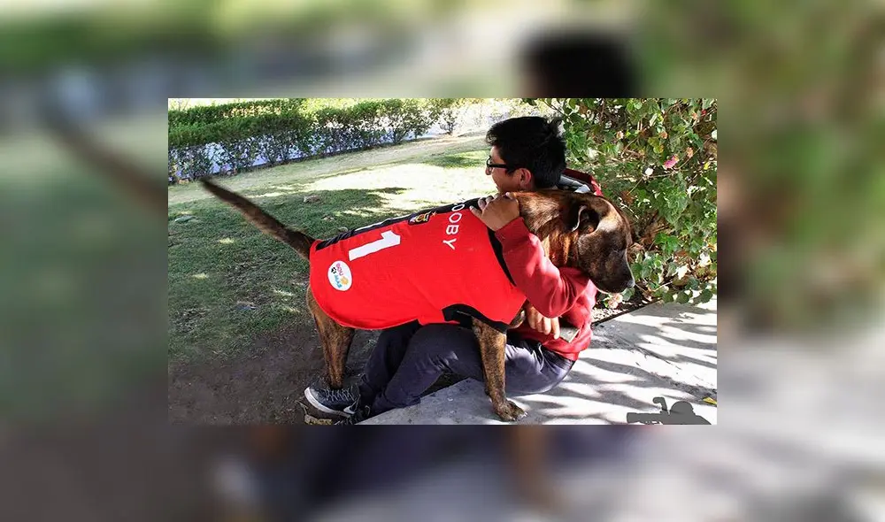 Scooby era uno de los canes que vigilaban las sedes de la UNSA. Foto: Difusión.