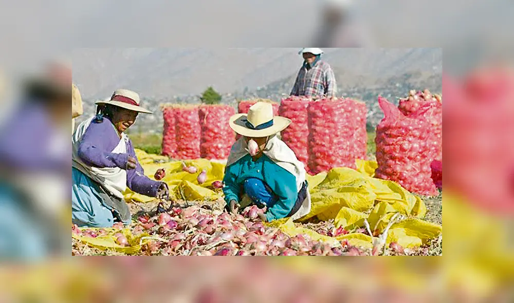 Dirigente de SADA señaló los riesgos para la agricultura y la exportación. Foto: La República
