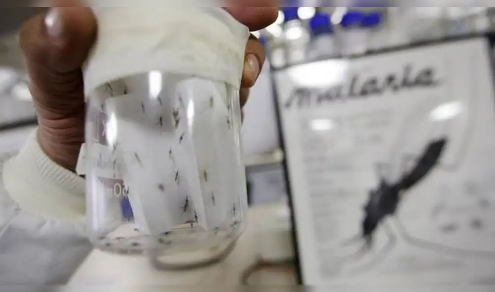 Las víctimas mortales corresponden a tres menores de edad y un adulto mayor. Foto: referencial/Geresa Loreto