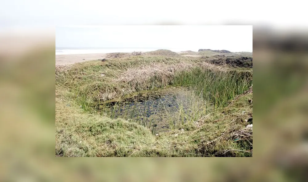 Se suministraría agua desde otra fuente para fertilizar esa área. Foto: La República Se suministraría agua desde otra fuente para fertilizar esa área. Foto: La República