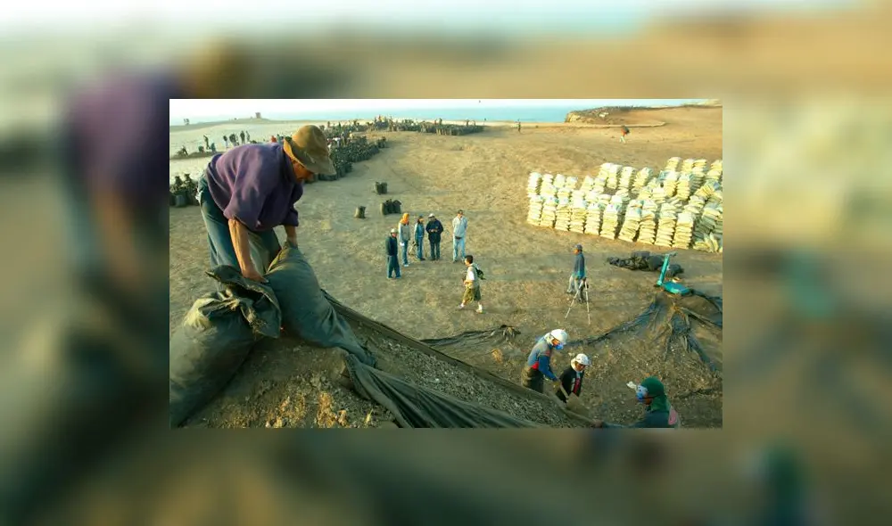 El dispositivo modifica la Ley 26857, que creó el Proyecto Especial de Promoción del Aprovechamiento de Abonos Provenientes de Aves Marinas. Foto: Midagri El dispositivo modifica la Ley 26857, que creó el Proyecto Especial de Promoción del Aprovechamiento de Abonos Provenientes de Aves Marinas. Foto: Midagri
