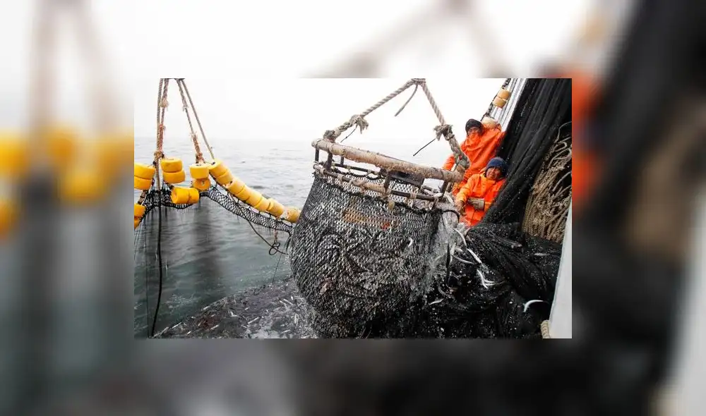 "Señalan que la pandemia por el COVID-19 ha afectado la economía del sector empresarial pesquero por lo que corresponde darles facilidades," afirma especialista. Foto: difusión