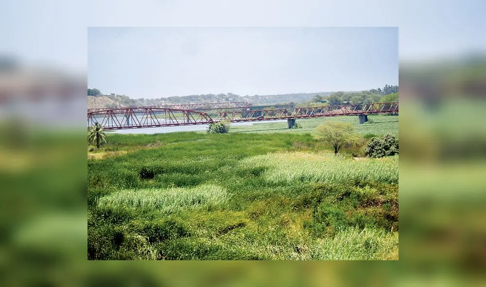 Los agricultores anhelan reservorios para beneficio de sus actividades. Foto: La República Los agricultores anhelan reservorios para beneficio de sus actividades. Foto: La República