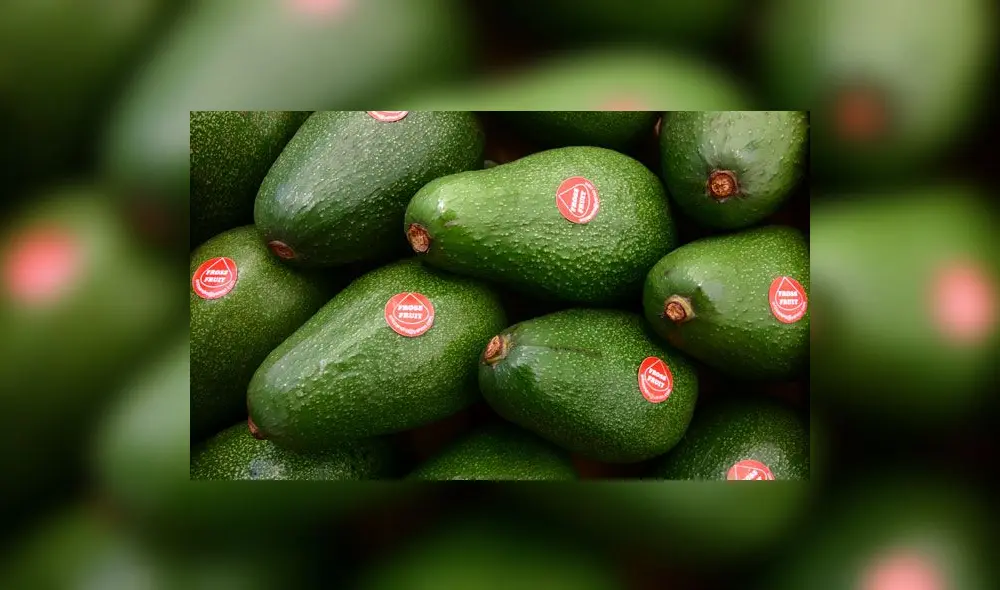 La palta peruana se exporta durante la mayoría del año. Sin embargo, de enero a septiembre es cuando se realizan el 99% de los envíos. Foto: difusión La palta peruana se exporta durante la mayoría del año. Sin embargo, de enero a septiembre es cuando se realizan el 99% de los envíos. Foto: difusión