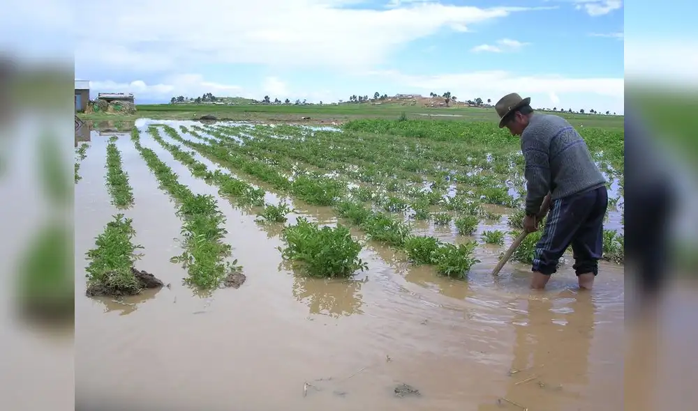 Afectaciones a campos de cultivos en comunidades de 2 provincias puneñas. Foto: Archivo La República