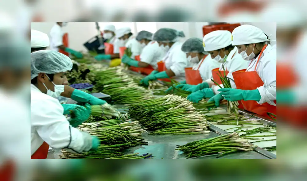 Cabe precisar que el Seguro Social administrará más de 610 millones de soles para el pago del bono extraordinario. Foto: ADEX