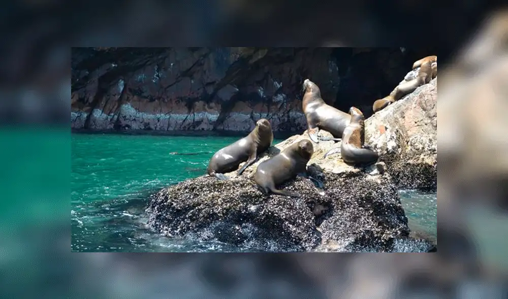 En los últimos feriados largos, los hoteles de Paracas fueron frecuentados por turistas que, en su mayoría, proceden de Lima. Foto: difusión En los últimos feriados largos, los hoteles de Paracas fueron frecuentados por turistas que, en su mayoría, proceden de Lima. Foto: difusión