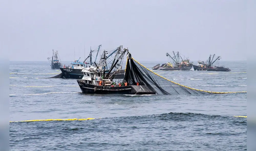 La medida tiene vigencia hasta octubre del presente año. Foto: Ministerio de la Producción