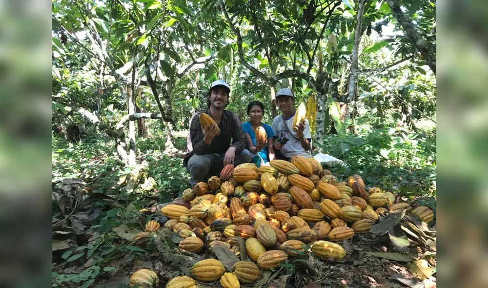 Plan incluye infraestructura, maquinarias y asistencia técnica en favor de 37 familias. Foto: difusión