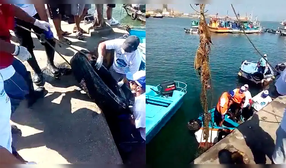 Buzos cumplen con exámenes médicos para lograr formalización. Foto: La República.