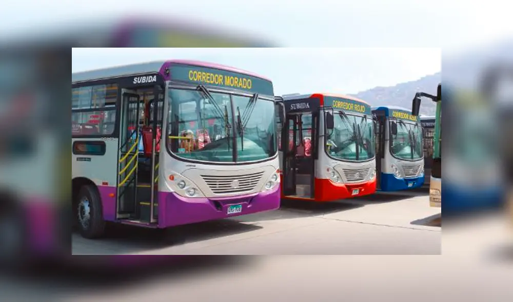 Buses de los corredores morado, rojo y azul, además de empresas de transporte convencional, estarán disponibles para los usuarios durante toda la jornada de madrugada. Foto: Municipalidad de Lima