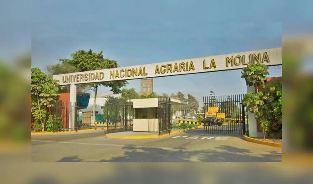 Postulantes piden que examen presencial así como se ha desarrollado las pruebas de la UNMSM y UNAC durante este 2021. Foto: UNALM