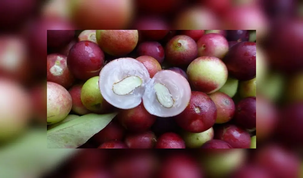 La pandemia generada por la Covid-19 ha impulsado la demanda de productos considerados como superalimentos a nivel mundial. Foto: Difusión